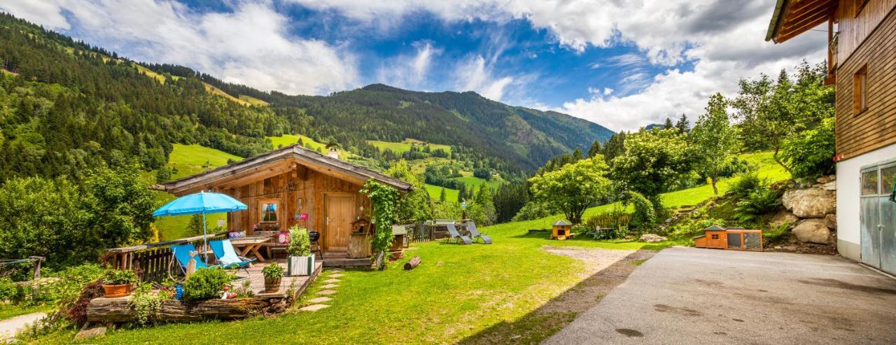 Oeko-Appartements Fallhaus Forstau  Exteriör bild